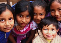 手机号狂轰滥炸软件